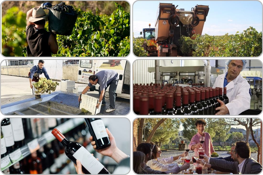 El pujante mundo del vino español: una mirada a las cifras actuales
